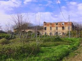 casa indipendente in vendita a Casaleone