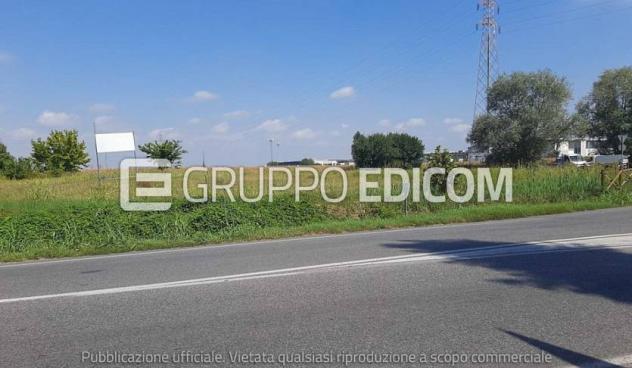 terreno agricolo in vendita a Casaleone in zona Venera