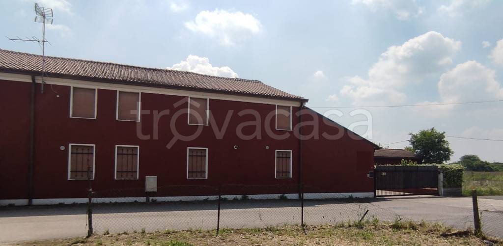 casa indipendente in vendita a Casaleone