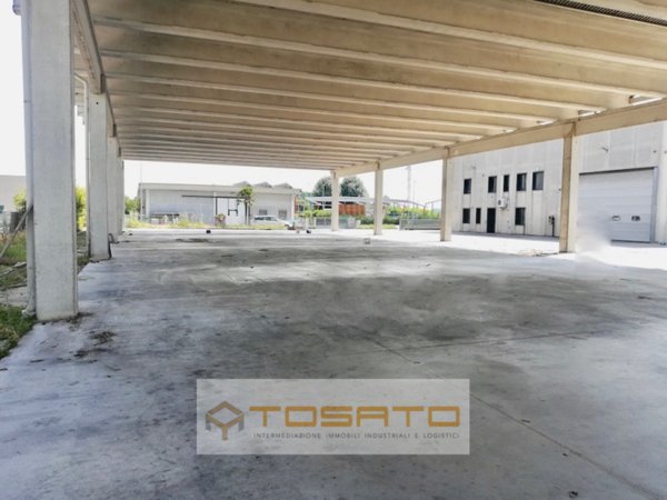 terreno edificabile in vendita a Casaleone