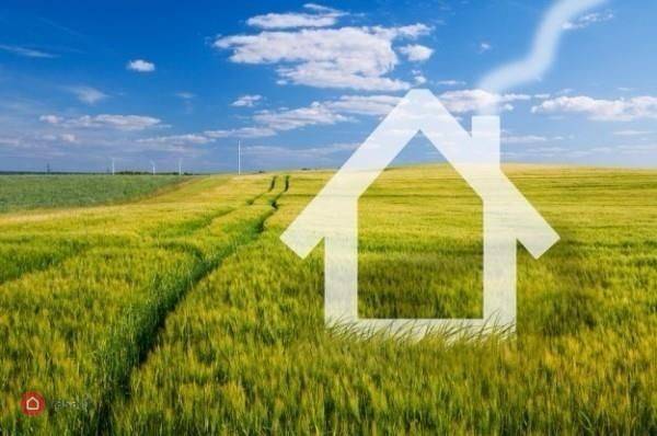 terreno agricolo in vendita a Casaleone