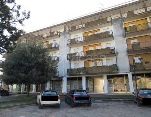 appartamento in vendita a Casaleone