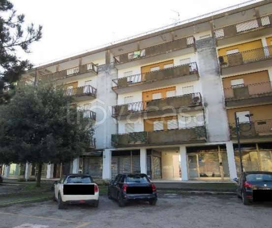 appartamento in vendita a Casaleone