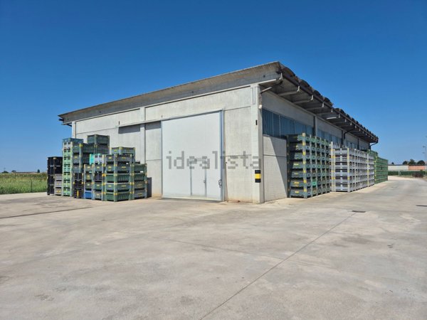 terreno edificabile in vendita a Casaleone