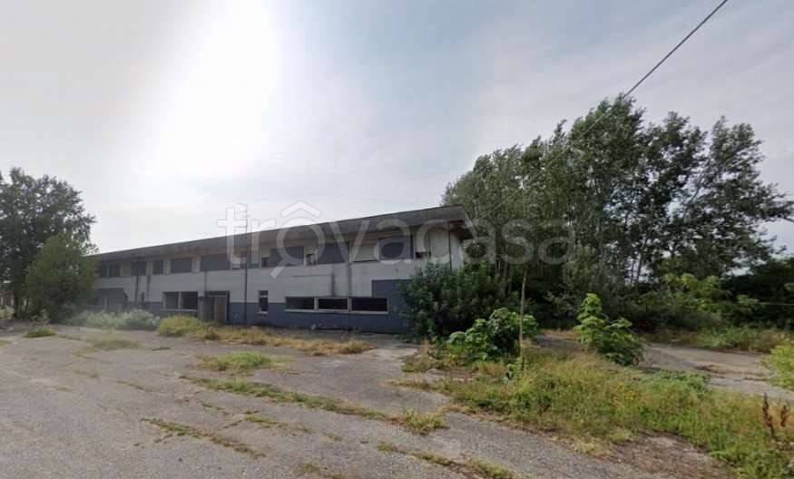 appartamento in vendita a Casaleone