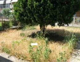 appartamento in vendita a Casaleone