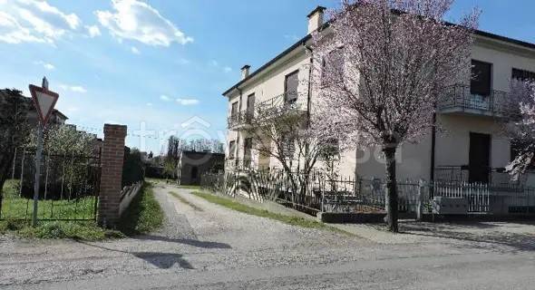 appartamento in vendita a Castagnaro