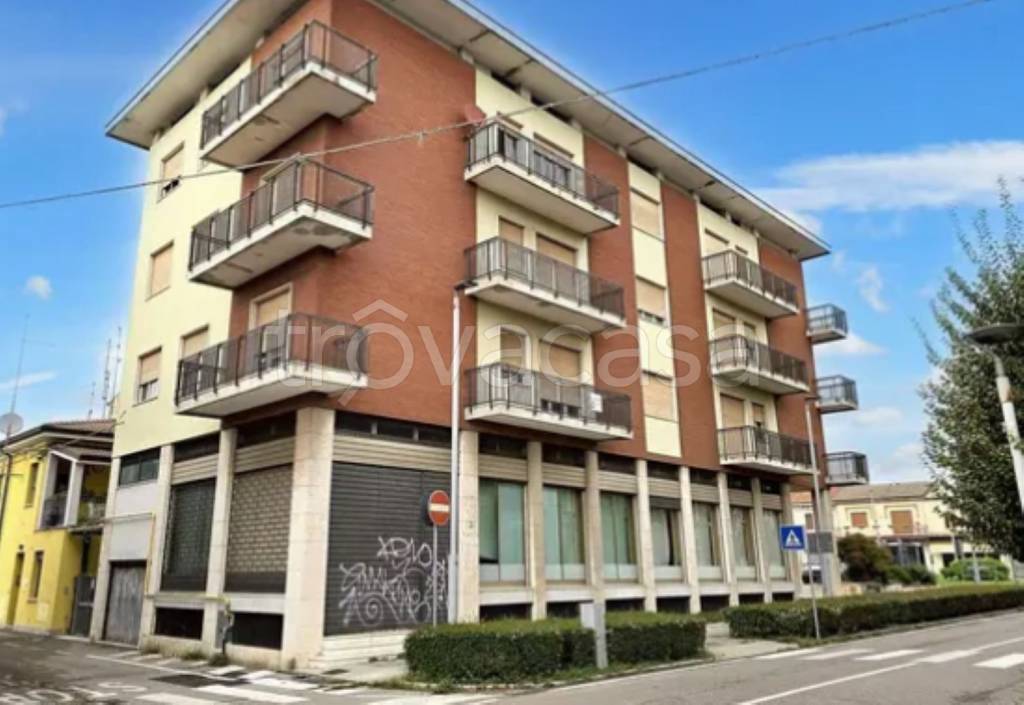 appartamento in vendita a Castagnaro