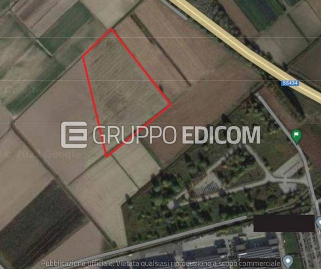 appartamento in vendita a Castagnaro
