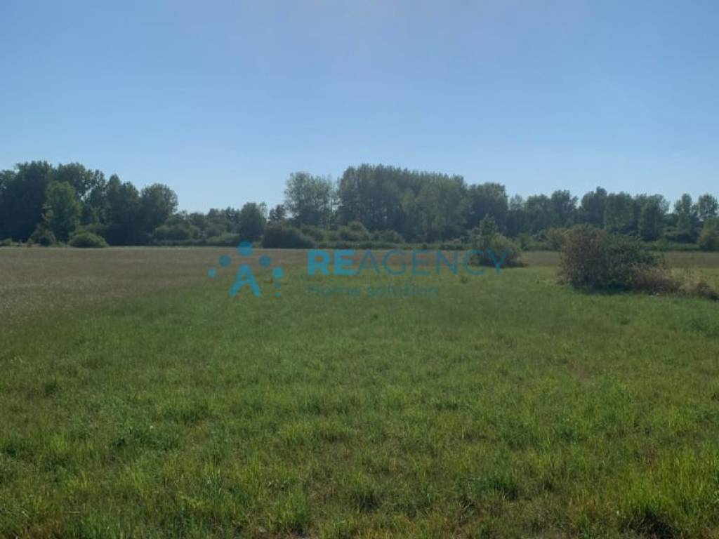terreno agricolo in vendita a Castagnaro