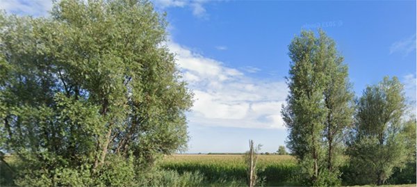 terreno edificabile in vendita a Castagnaro