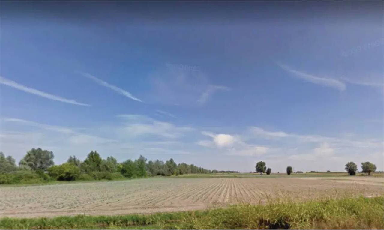 terreno edificabile in vendita a Castagnaro