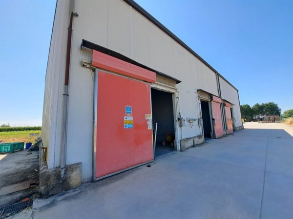 locale commerciale in vendita a Castagnaro