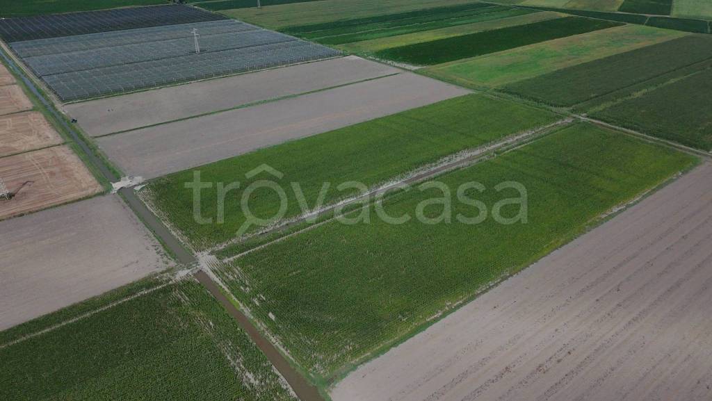 terreno edificabile in vendita a Castagnaro