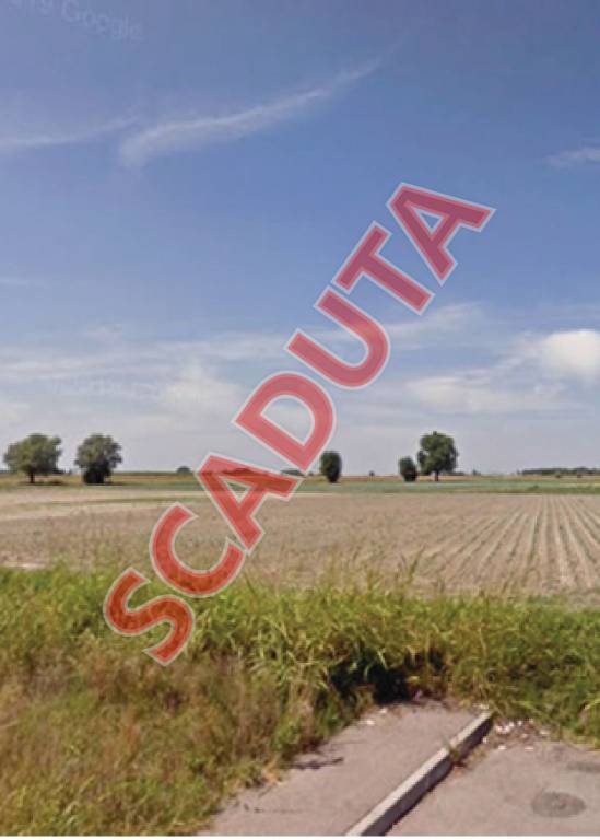 terreno agricolo in vendita a Castagnaro