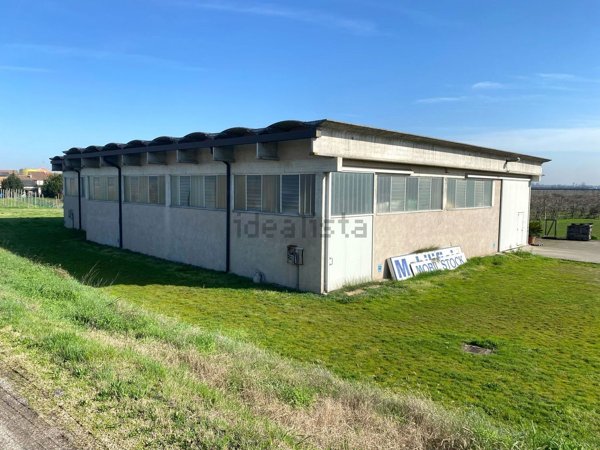 terreno edificabile in vendita a Castagnaro in zona Menà