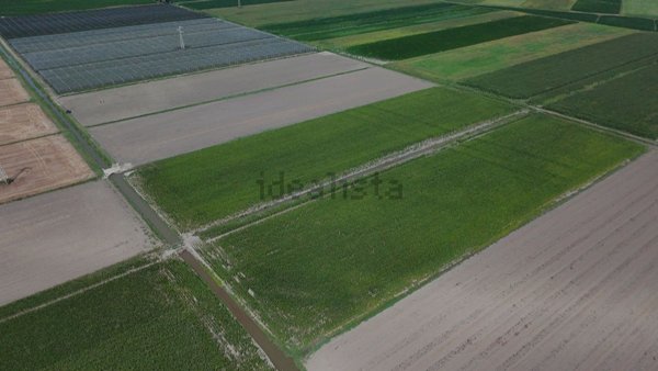 terreno edificabile in vendita a Castagnaro
