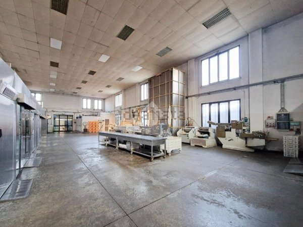 casa indipendente in vendita a Castagnaro