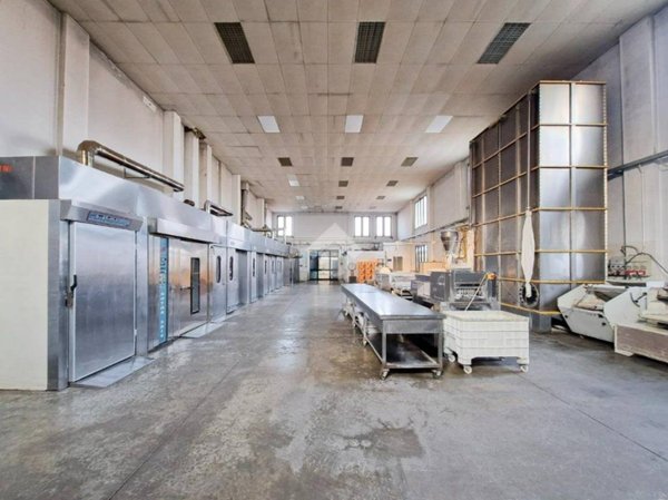 negozio in vendita a Castagnaro