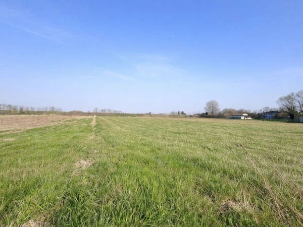 terreno agricolo in vendita a Castagnaro in zona Menà