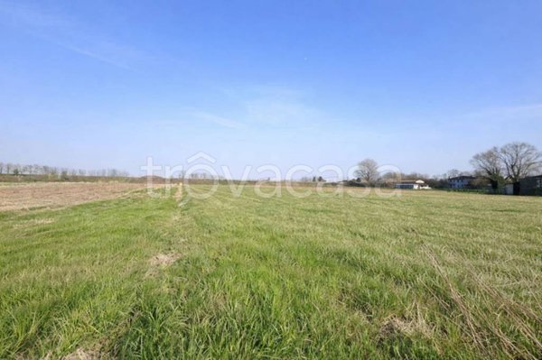 terreno agricolo in vendita a Castagnaro in zona Menà