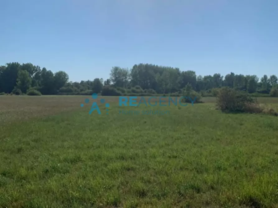 mansarda in vendita a Castagnaro