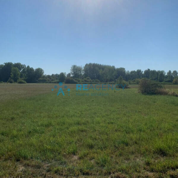 terreno edificabile in vendita a Castagnaro