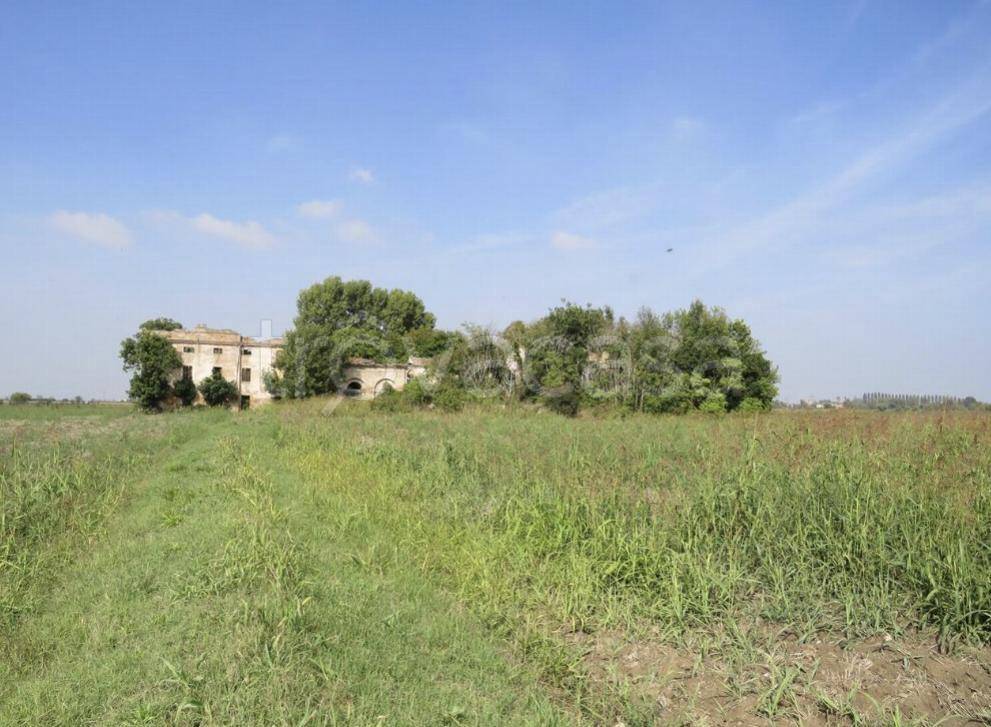ufficio in vendita a Castagnaro
