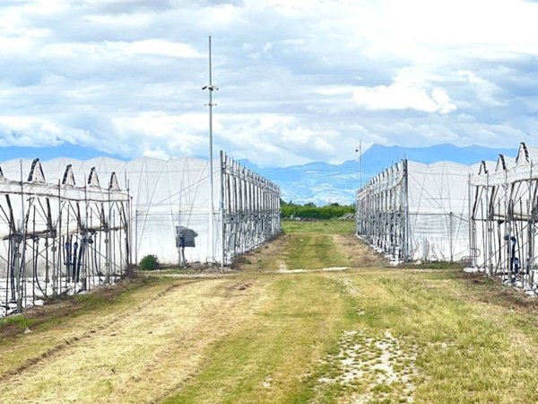 terreno edificabile in vendita a Castel d'Azzano in zona Rizza