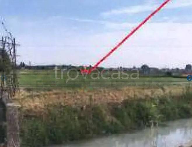 terreno agricolo in vendita a Castel d'Azzano in zona San Martino