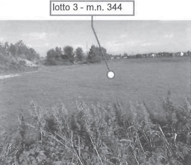 terreno agricolo in vendita a Castel d'Azzano in zona San Martino