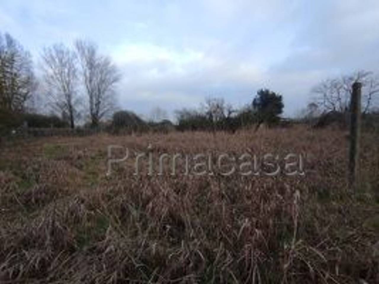 terreno agricolo in vendita a Castel d'Azzano