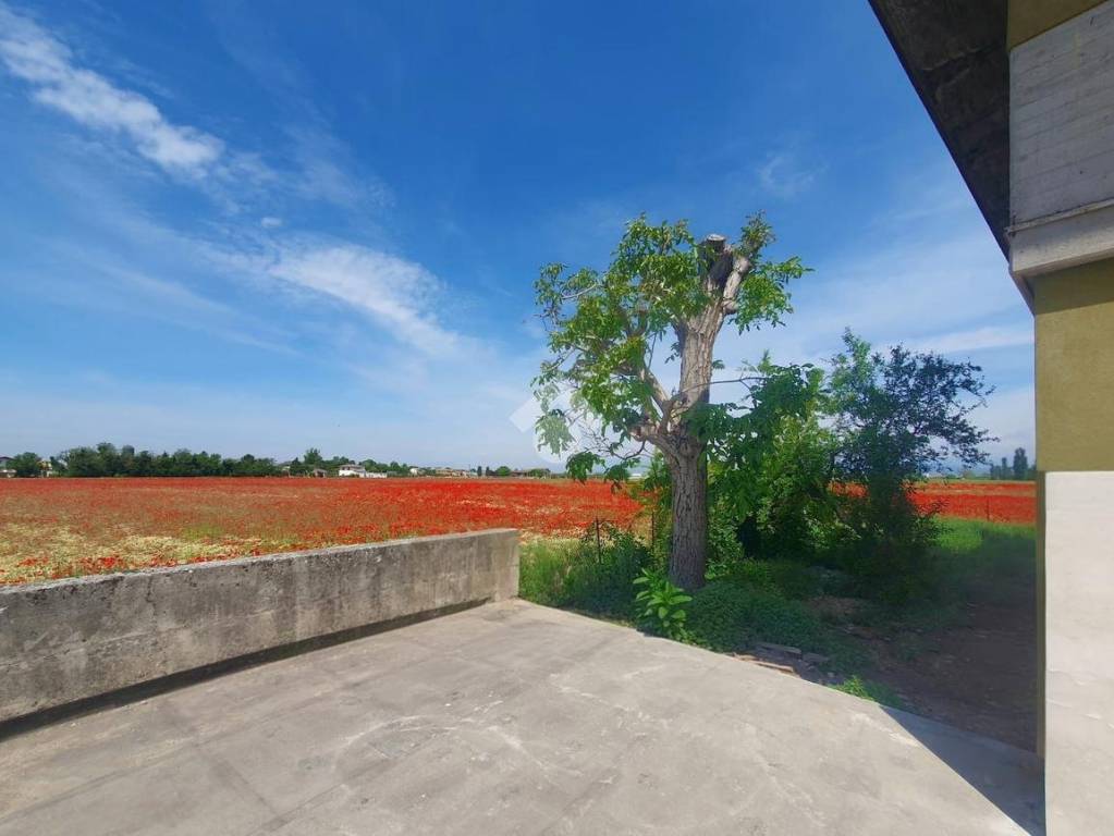appartamento in vendita a Castel d'Azzano