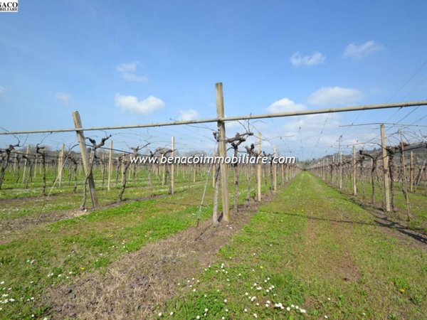 terreno agricolo in vendita a Castelnuovo del Garda in zona Sandrà