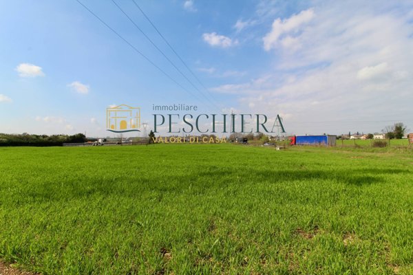 terreno agricolo in vendita a Castelnuovo del Garda in zona Cavalcaselle