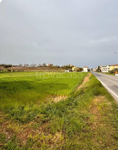 terreno agricolo in vendita a Castelnuovo del Garda