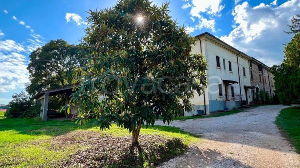terreno agricolo in vendita a Castelnuovo del Garda in zona Cavalcaselle