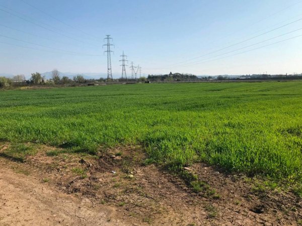 terreno agricolo in vendita a Castelnuovo del Garda in zona Camalavicina