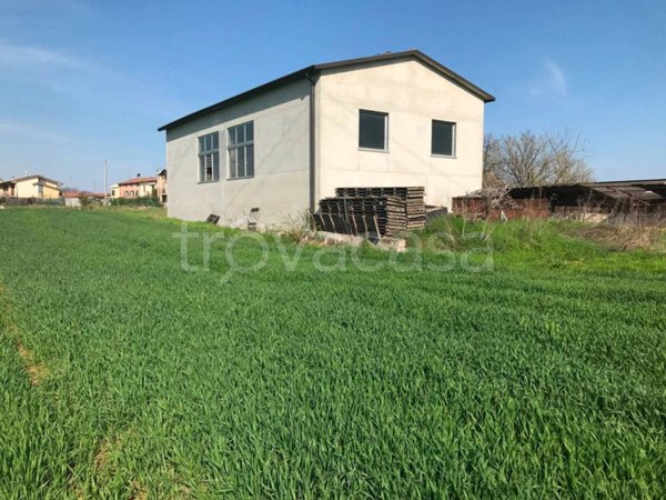 terreno agricolo in vendita a Castelnuovo del Garda in zona Cavalcaselle