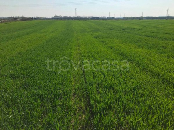 terreno agricolo in vendita a Castelnuovo del Garda in zona Cavalcaselle