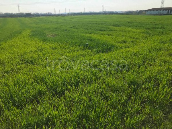 terreno agricolo in vendita a Castelnuovo del Garda in zona Cavalcaselle