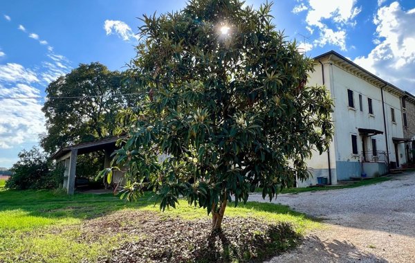 terreno agricolo in vendita a Castelnuovo del Garda