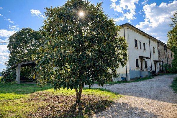 terreno agricolo in vendita a Castelnuovo del Garda