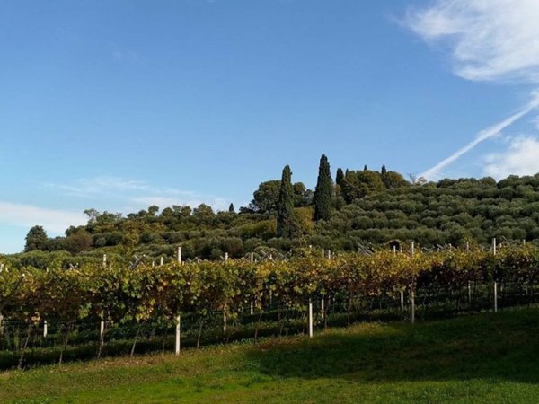 appartamento in vendita a Castelnuovo del Garda in zona Camalavicina