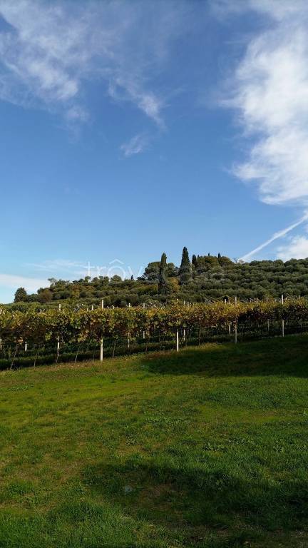 appartamento in vendita a Castelnuovo del Garda in zona Camalavicina