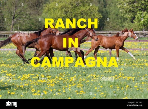 casa indipendente in vendita a Castelnuovo del Garda