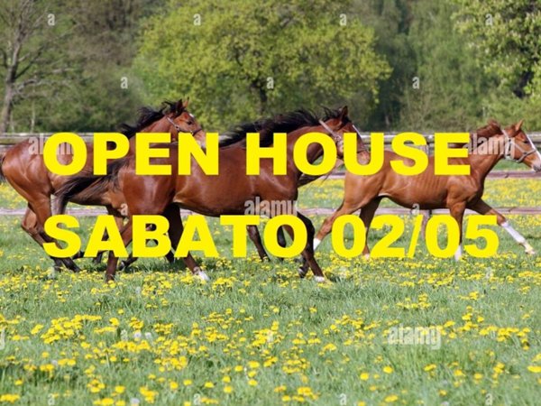 casa indipendente in vendita a Castelnuovo del Garda