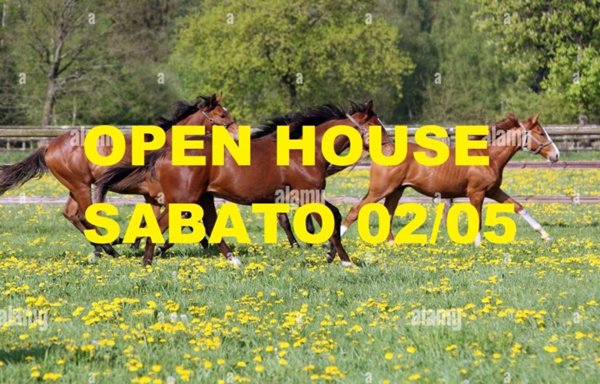casa indipendente in vendita a Castelnuovo del Garda