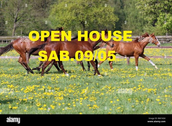 casa indipendente in vendita a Castelnuovo del Garda