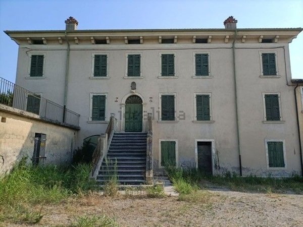 esavano in vendita a Castelnuovo del Garda